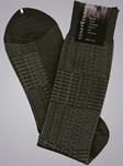 Trespass (Brown)