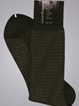 Trespass (Brown)