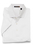 Classic Beefy Oxford Solid Buttondown