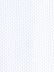 Blue/Navy/White/Red Check