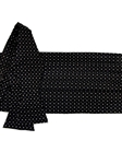 Cummerbund and Bow Tie Set