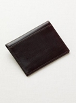 Alligator Credit Card Case