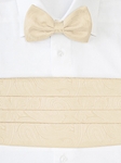 Classic Black Bow Tie and Cummerbund Set