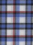 Stripe Custom Shirt