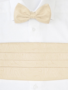 Richard Paisley Bow Tie and Cummerbund Set