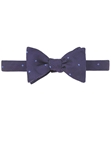Robert Talbott Purple Best Of Class Oak Hills Bow Tie 568922A-06 - Spring 2015 Collection Bow Ties and Sets | Sam's Tailoring Fine Men's Clothing