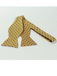 Ted Baker Yellow with Floral Design Bow Tie SAMSTAILORING-45 - Spring 2015 Collection Bow Ties | Sam's Tailoring Fine Men's Clothing