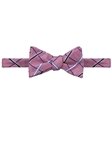 Robert Talbott Pink Best Of Class American Traditional Bow Tie 555602C-05 - Fall 2015 Collection Bow Ties and Sets | Sam's Tailoring Fine Men's Clothing