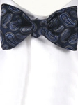 Robert Talbott Blue Classic 'to tie' Bow 001080A-09 - Bow Ties & Sets | Sam's Tailoring  Fine Men's Clothing