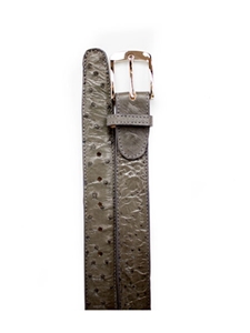 Genuine Ostrich Belt  |Belvedere New Belts Collection | Sams Tailoring