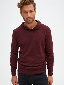 Plum Natural Fibers Soft Feel Men's Hoodie | Stone Rose Sweaters Collection | Sams Tailoring Fine Men Clothing