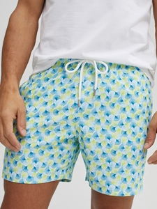 Lime Leaf Print Swim Short | Stone Rose Shorts Collection | Sam's Tailoring Fine Men Clothing