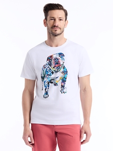White Collage Graham Short Sleeve Men T-Shirt | Robert Graham Polos & T-Shirts Collection | Sam's Tailoring Fine Men's Clothing