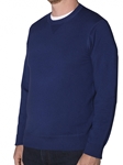 Robert talbott Solid Indigo Westcliff-Jersey Sport Crew Sweater LS783-01| Sam's Tailoring Fine Men's Clothing