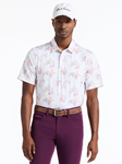 Multi Keltz Point Collar Men's Short Sleeve Polo | Robert Graham Polos Collection | Sam's Tailoring Fine Men's Clothing