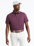 Sunset Purple Falto Men Short Sleeve Polo | Robert Graham Polos Collection | Sam's Tailoring Fine Men's Clothing
