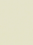 Ivory Solid Cotton Men'S Custom Suit | Heritage Gold Custom Suits | Sam's Tailoring Fine Men Clothing
